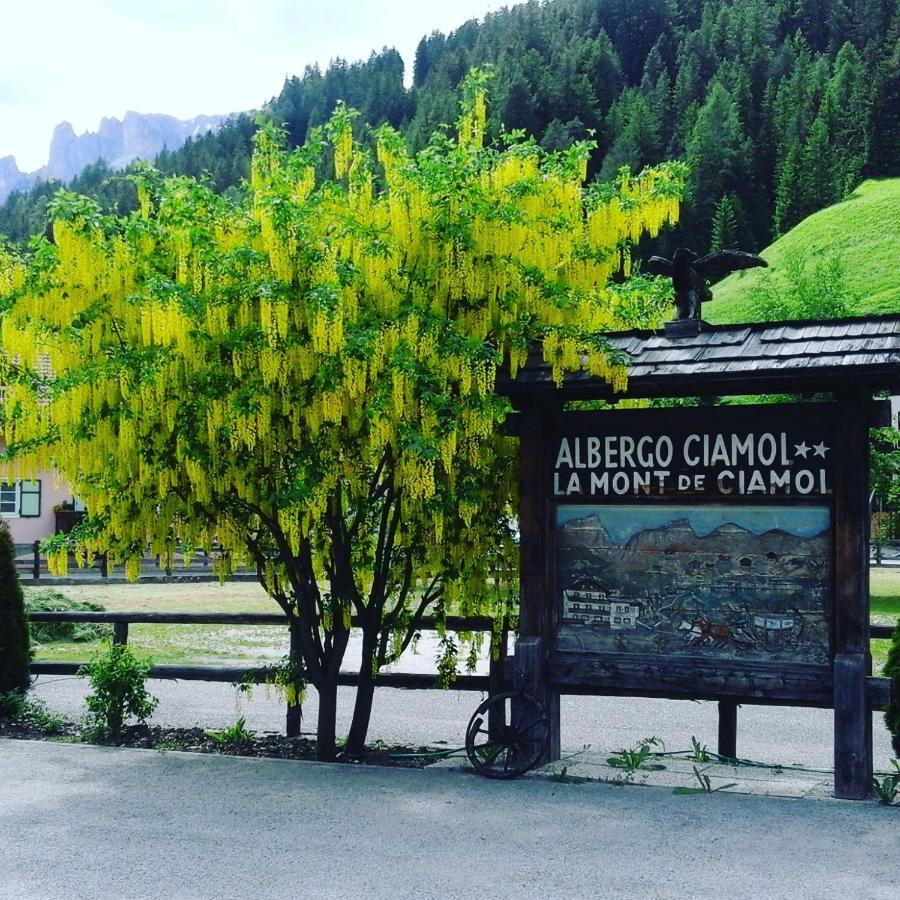 Hotel Ciamol Campitello di Fassa Dış mekan fotoğraf