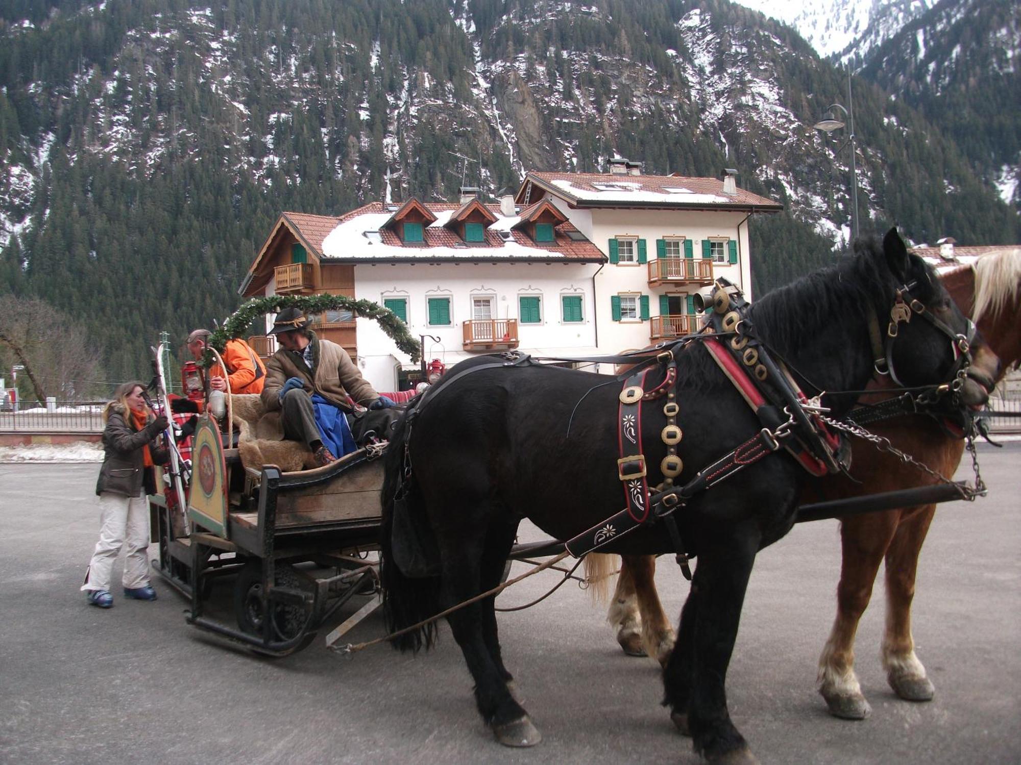 Hotel Ciamol Campitello di Fassa Dış mekan fotoğraf